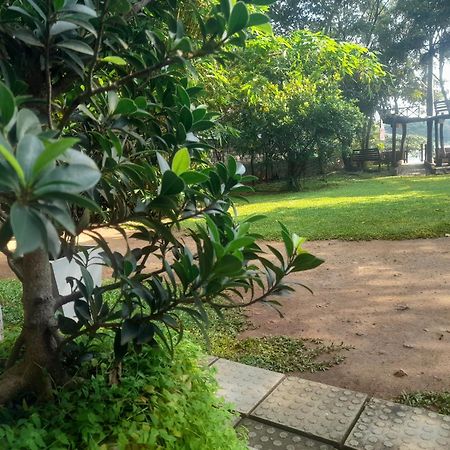 Shashin Lake Resort ดัมบูลลา ภายนอก รูปภาพ